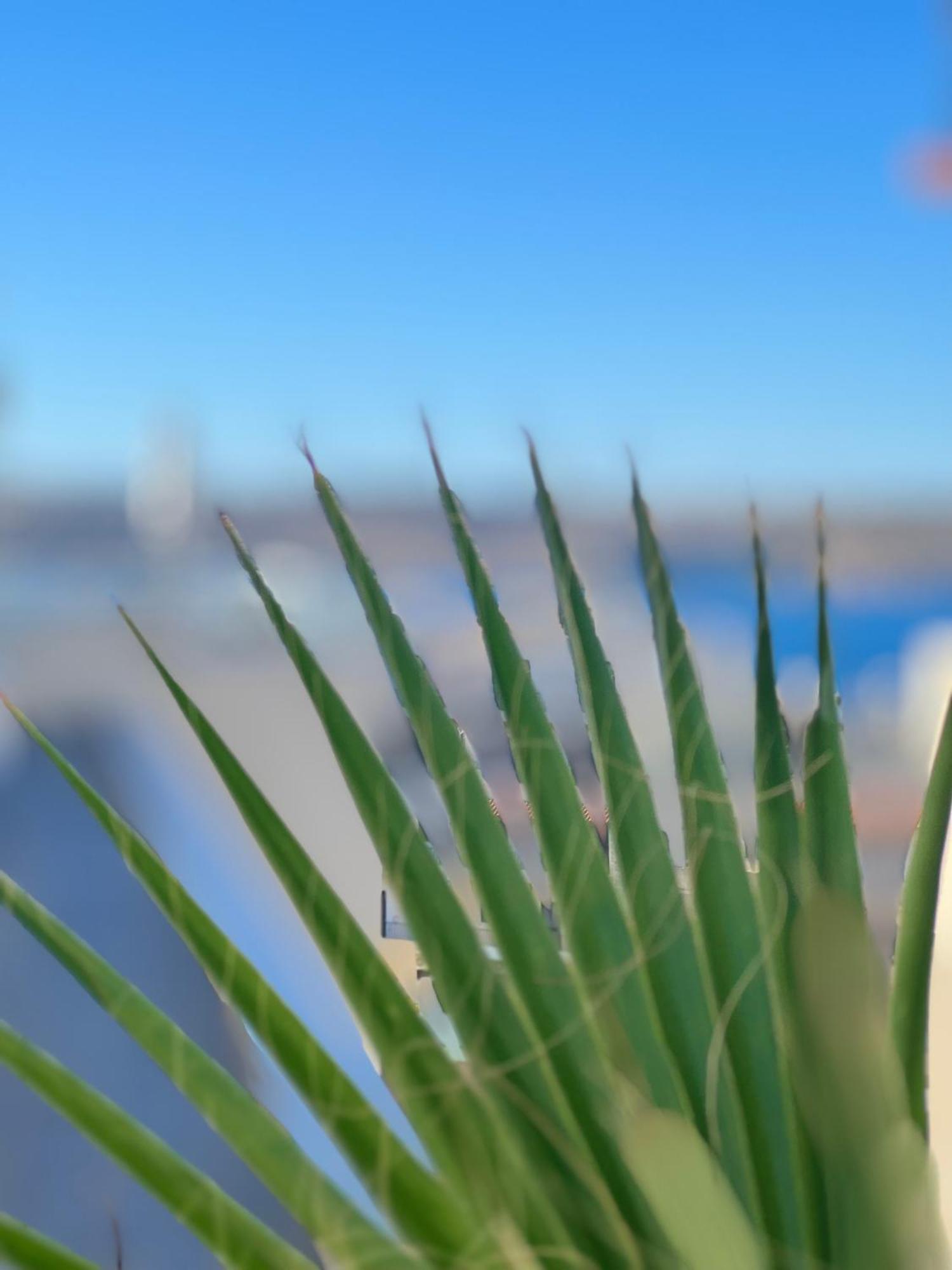 Modern & Spacious 2Br Penthouse With Terrace - Close To Qawra Beach 세인트폴스베이 외부 사진